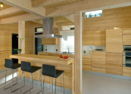 Polar Swan 225 - Maison en bois massif en Finlande